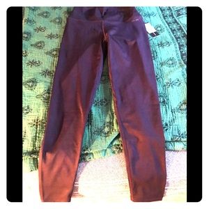 AR 33 Alpha high waist leggings